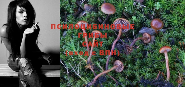 прущая мука Алзамай